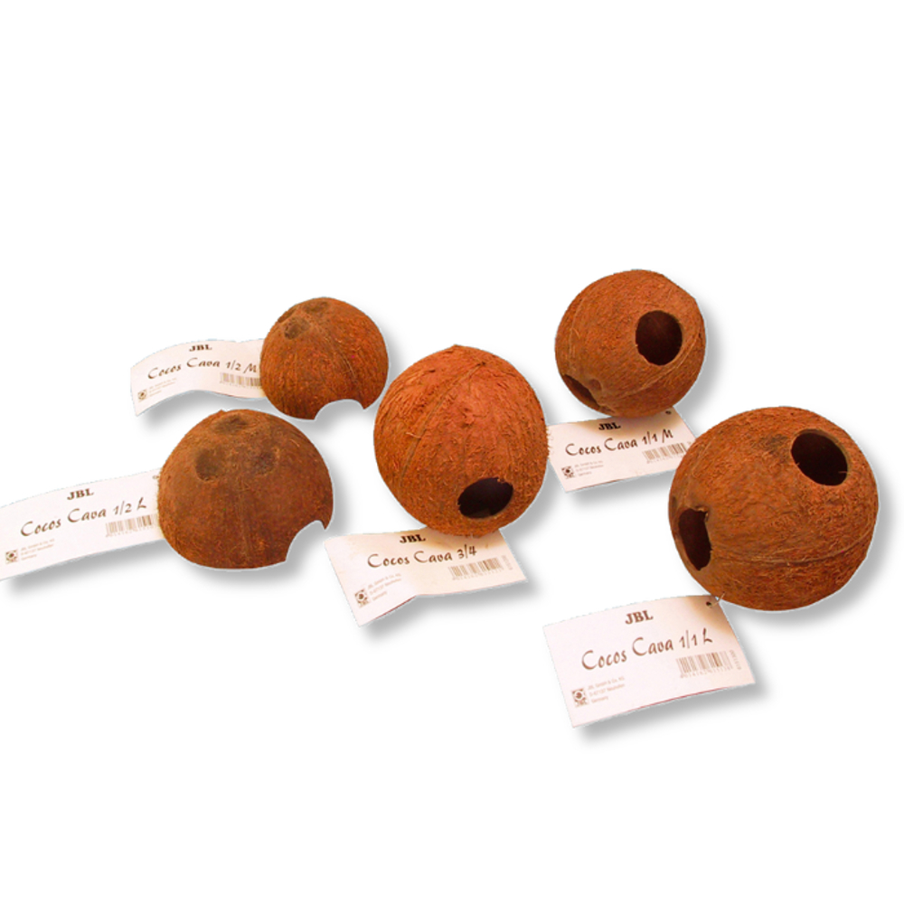 JBL Cocos Cava 1/1 L 