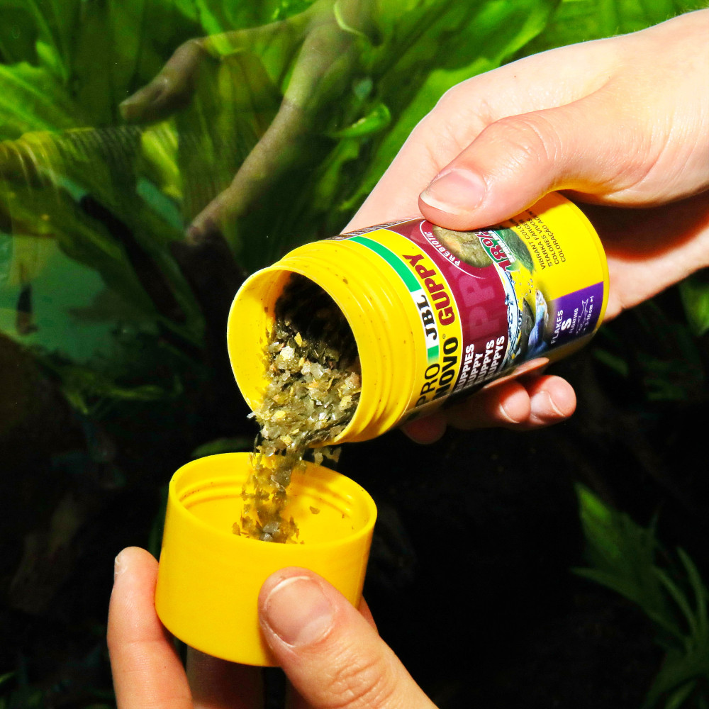 JBL PRONOVO GUPPY FLAKES S 100 ml