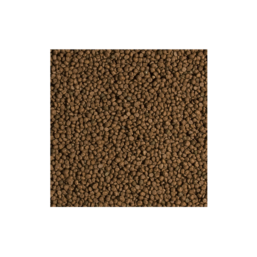 Tropical Koi Wheat Germ & Garlic Pellet im Detail