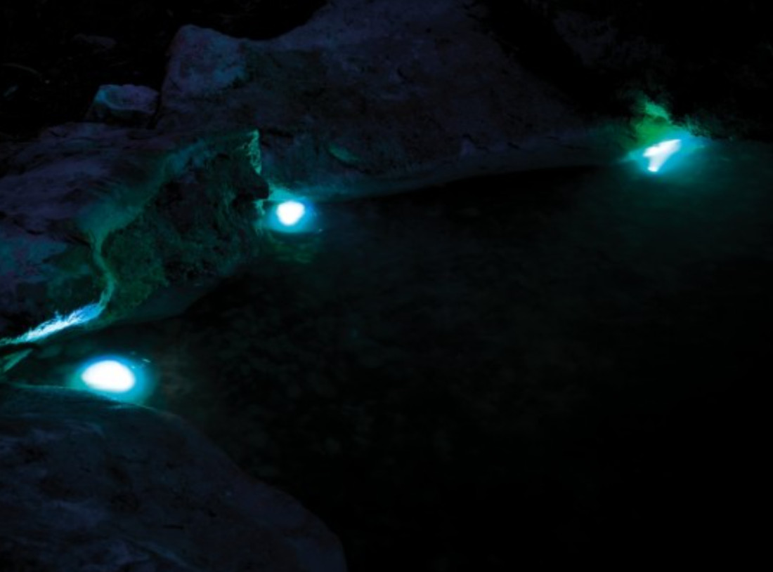 Pontec PondoStar LED RGBW Set 3 Nachtlicht blau
