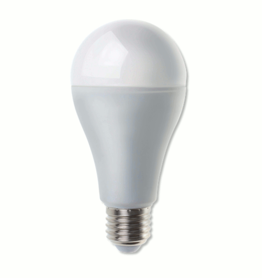 JBL Reptil LED Daylight 12 W im Detail