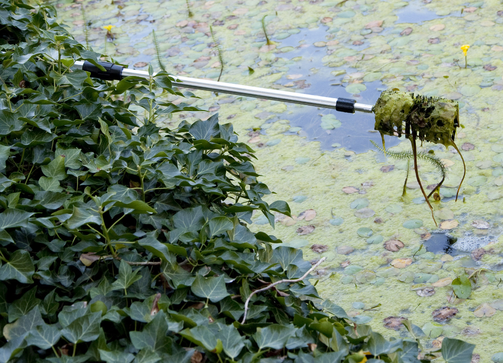 Velda Algae Brush Algenbürste Anwendung
