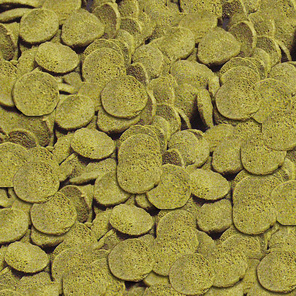 sera Wels Chips Nature im Detail