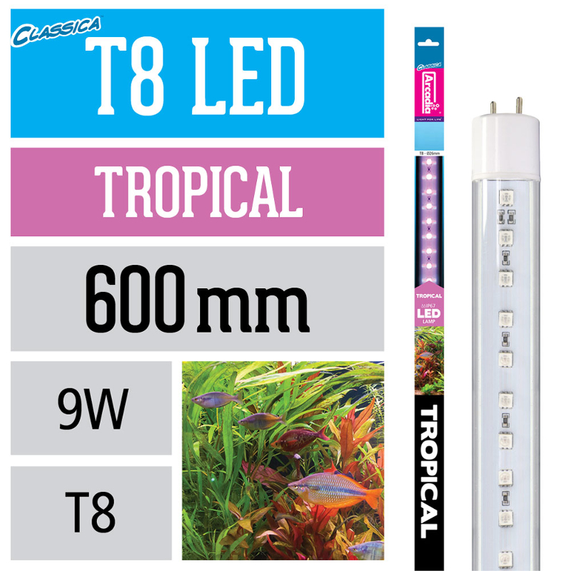 Arcadia T8 LED Lampe Tropical 9 W 600 mm