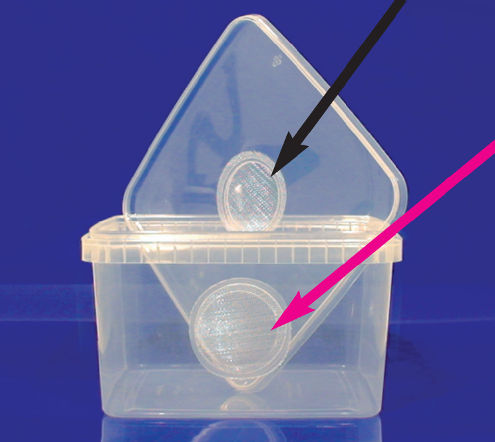 Zucht-Box 3l mit Gazedeckel & Frontgaze im Detail
