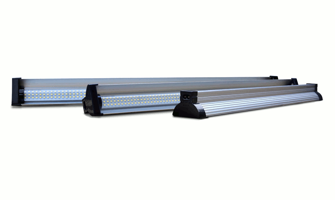 Arcadia JUNGLE DAWN LED BAR im Deatil