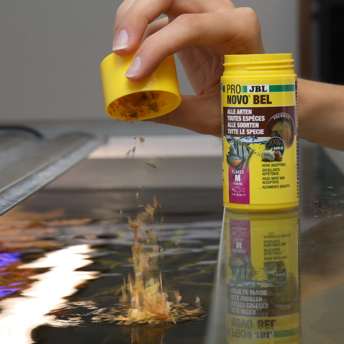 JBL PRONOVO BEL FLAKES M im Detail