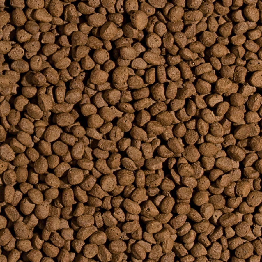 Tropical Koi Wheat Germ & Garlic Pellet Size M 0,32 kg Premiumfutter