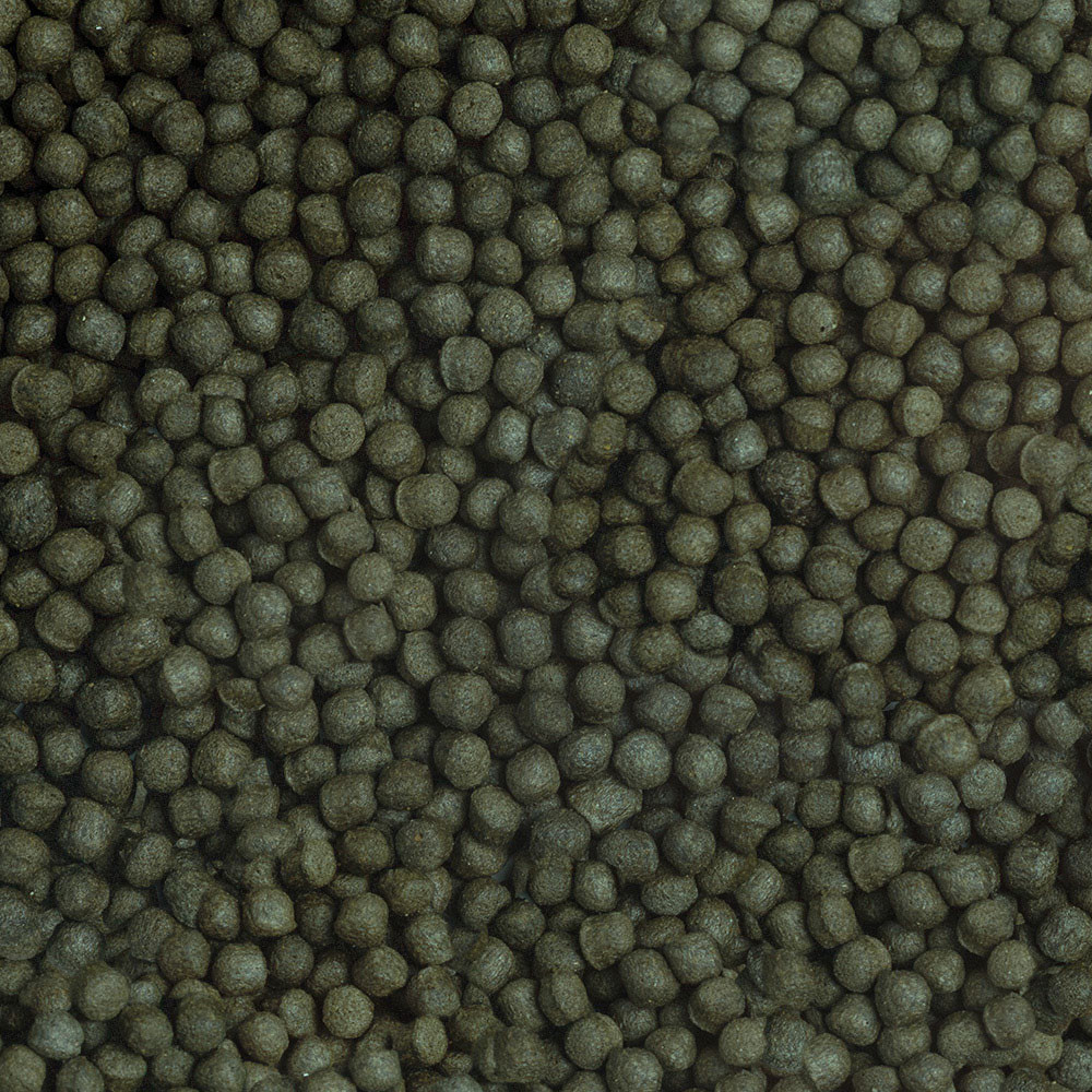 sera Cichlid Herbivore Granules XL 1,0 Liter