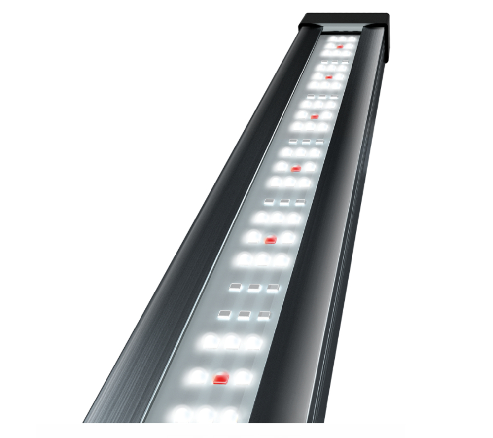 Tetra Tetronic LED ProLine 380 im Detail