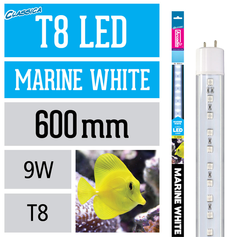 Arcadia T8 LED Lampe Marine White 9 W 600 mm