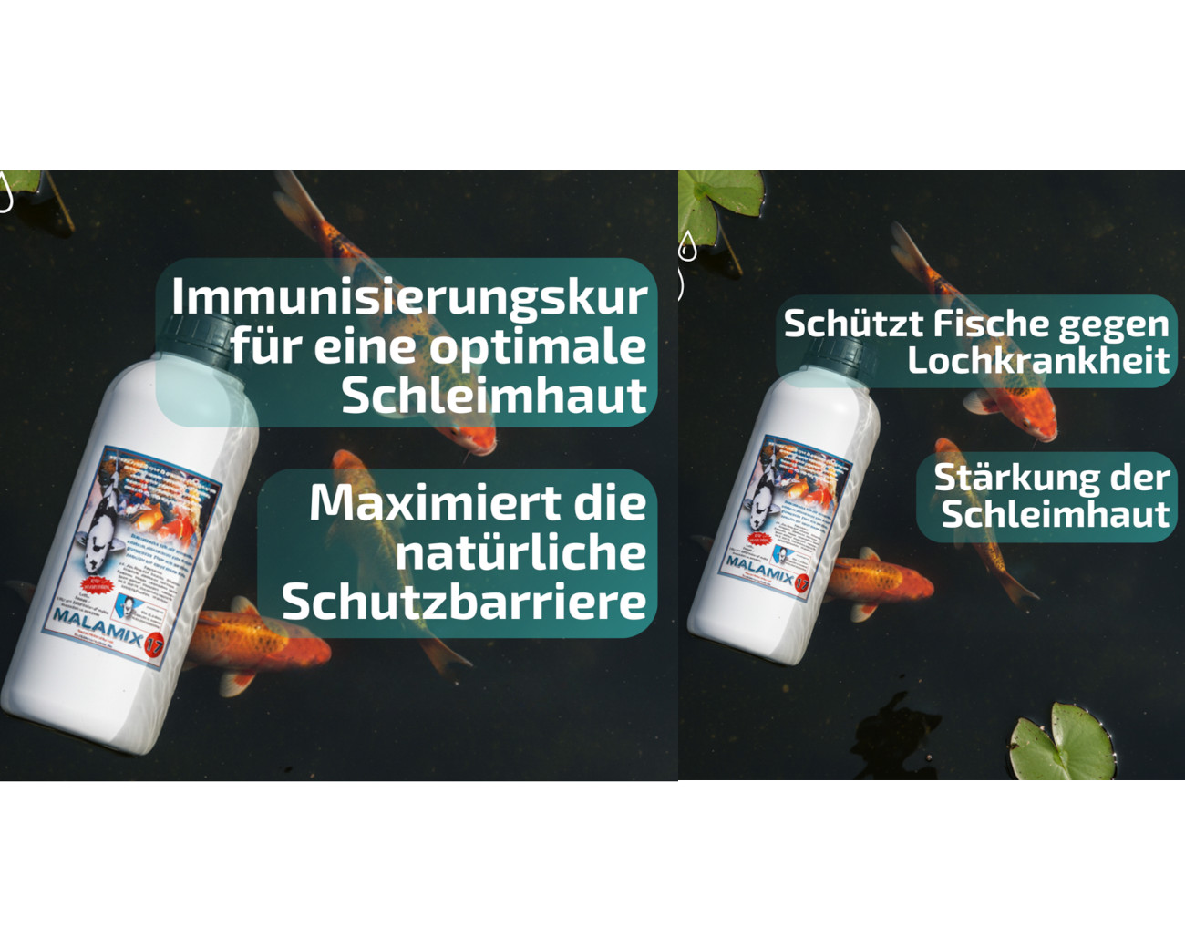 Malamix17 1,0 Liter -Immunisierungskur