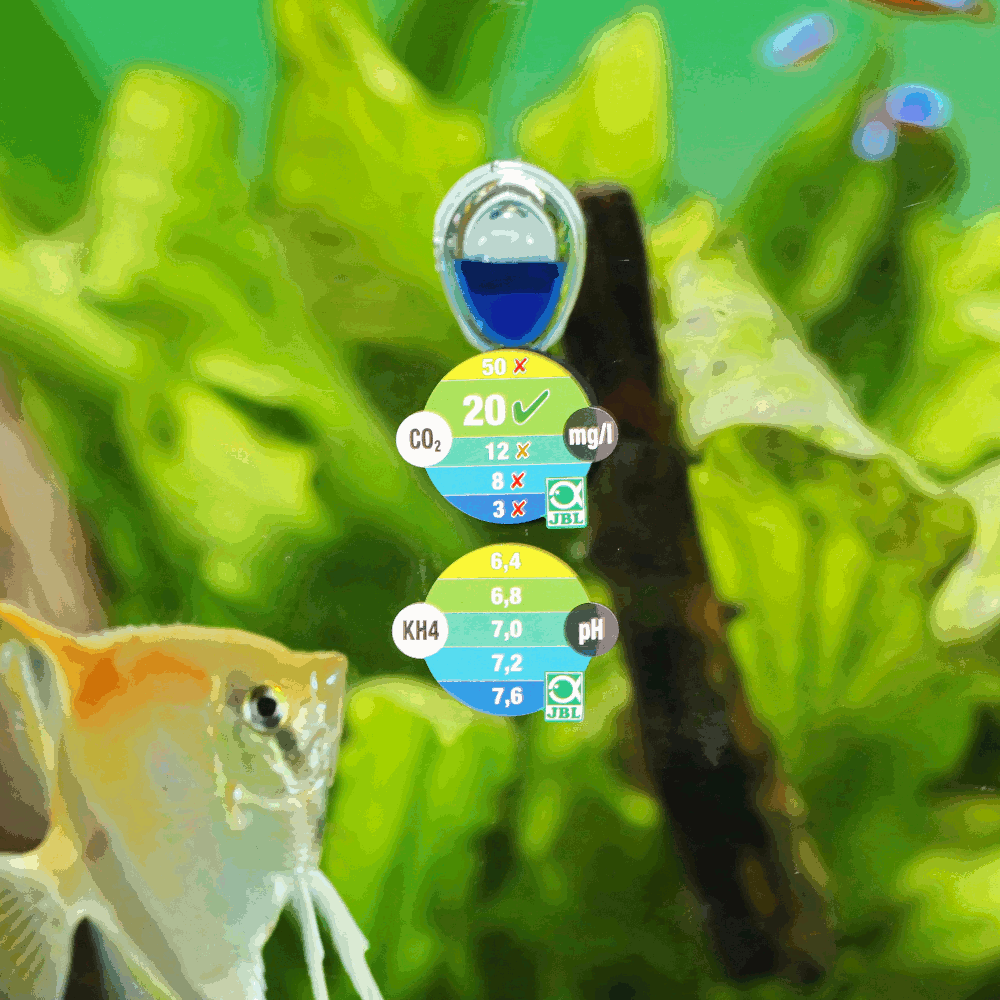 JBL PROAQUATEST CO2-pH im Aquarium