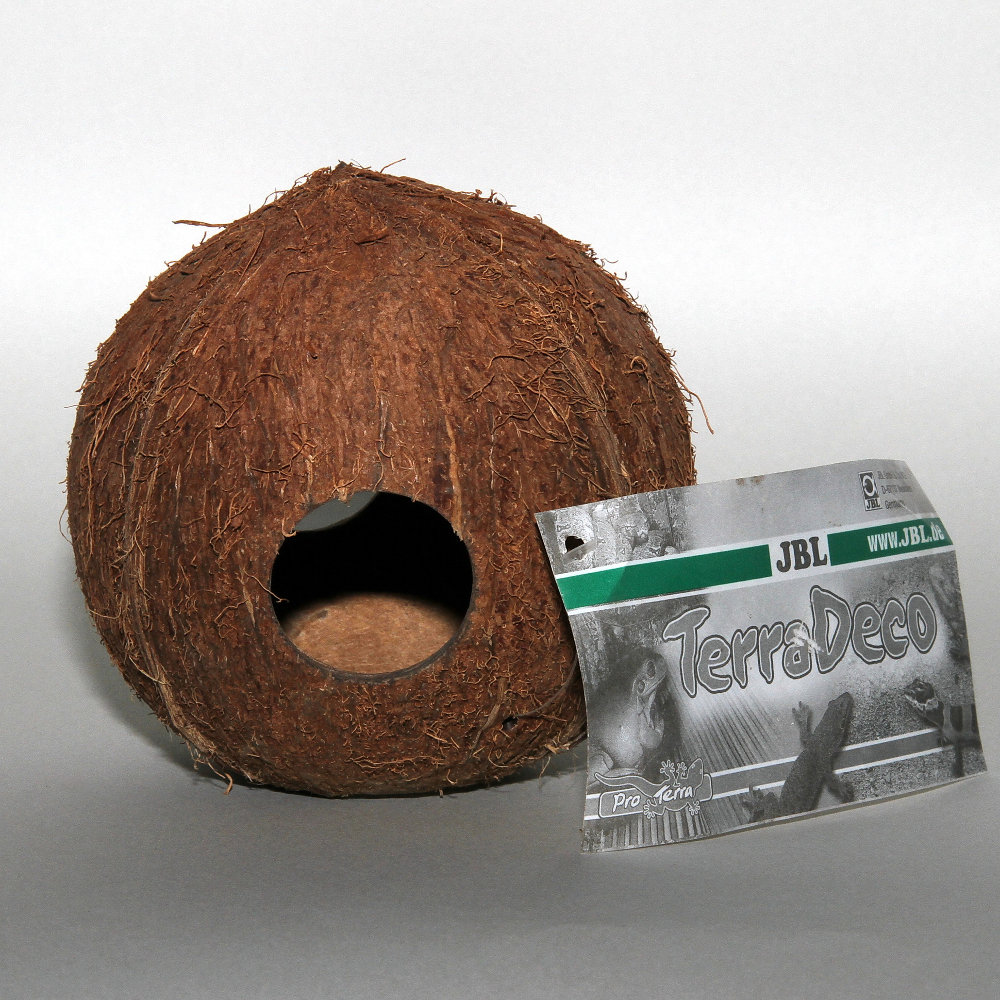 JBL Cocos Cava 1/1 L im Detail