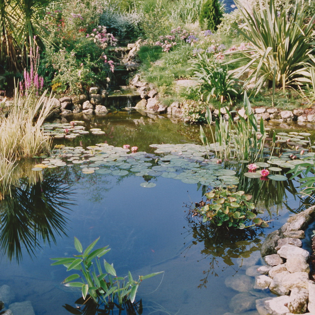 JBL FilterStart Pond für Teich