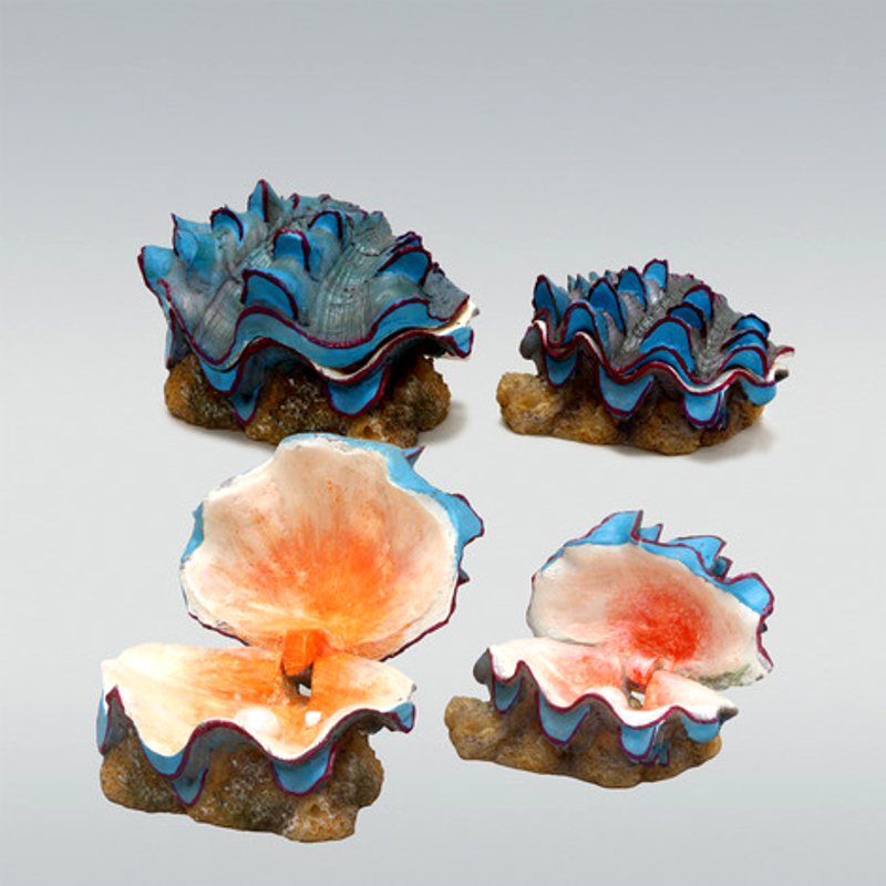 JBL ActionAir Beautiful Shells im Detail