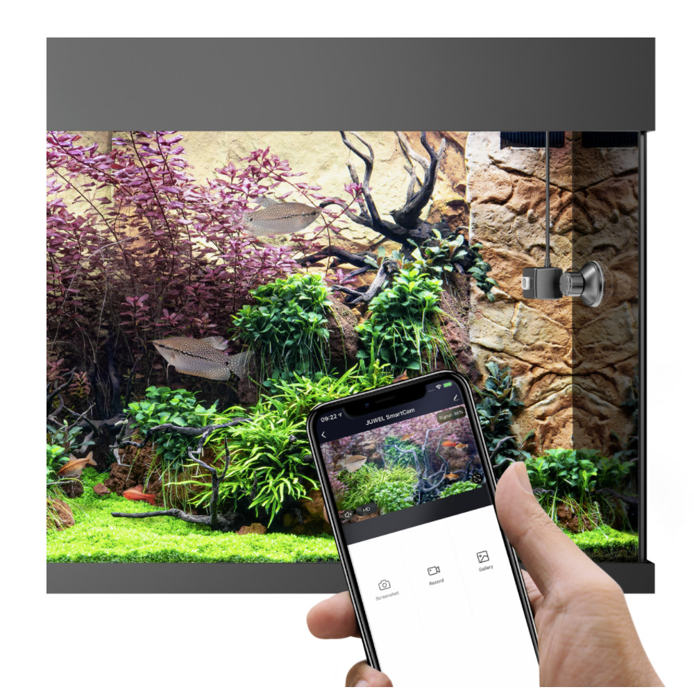 Juwel SmartCam im Einsatz