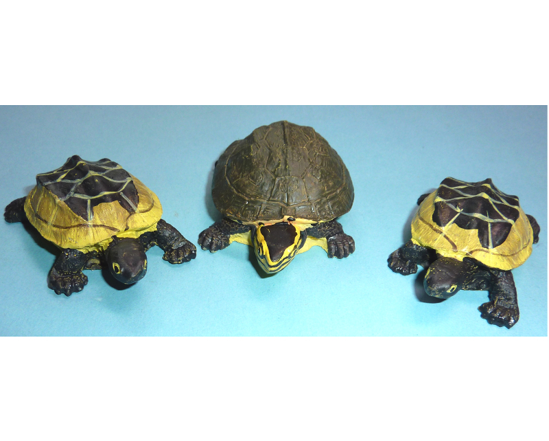 Deko Schildkrötenset Variante 3 