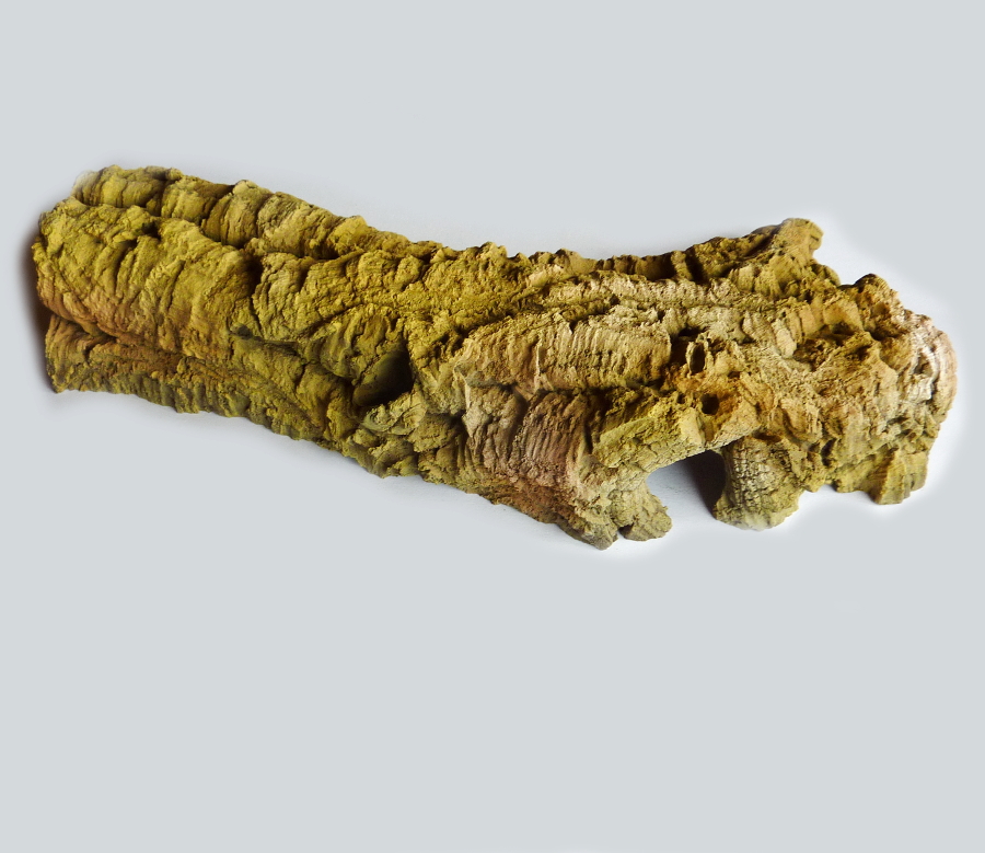 Korhöhle L 37 x 20 x 6 cm von Hinten