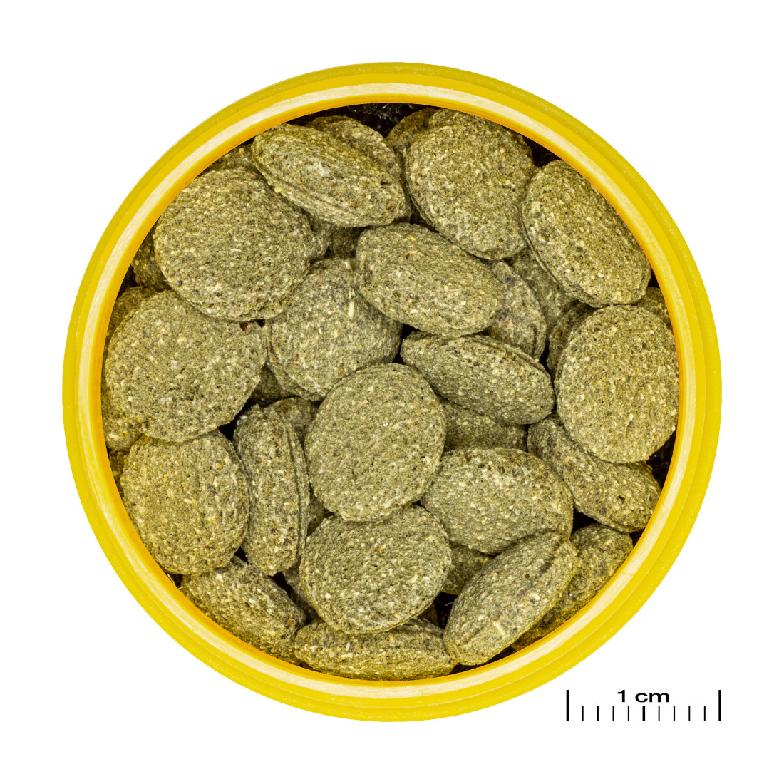 JBL PRONOVO PLECO Wafer M im detail