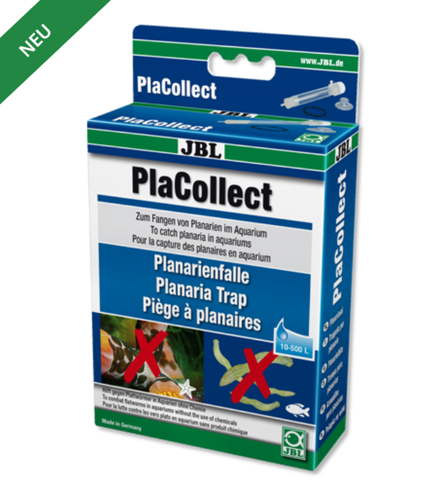 JBL PlaCollect -Planarienfalle gegen Plattwürmer-