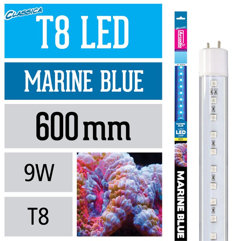 Arcadia LED T8 Lampe Marine Blue 9 W 