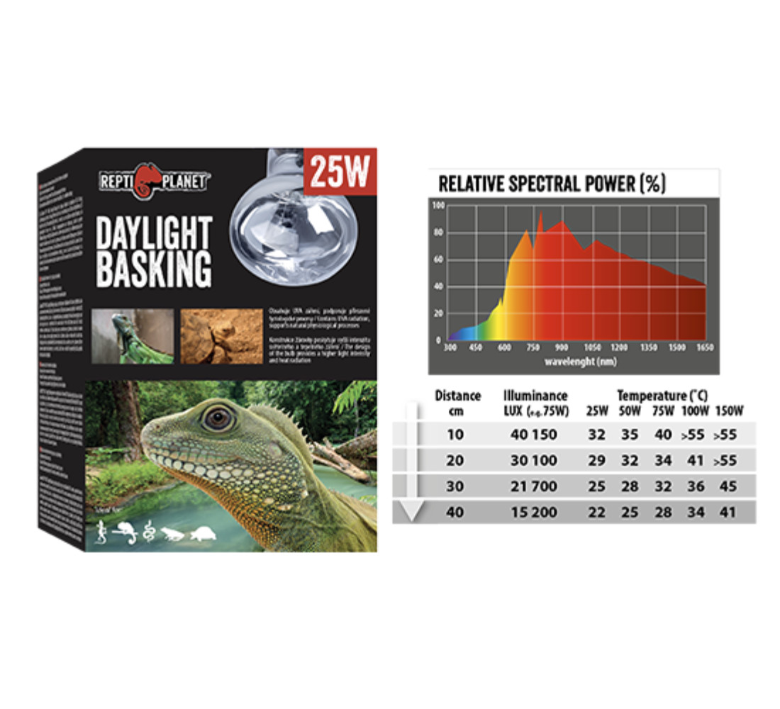 Repti Planet Daylight Basking Spot 25 W