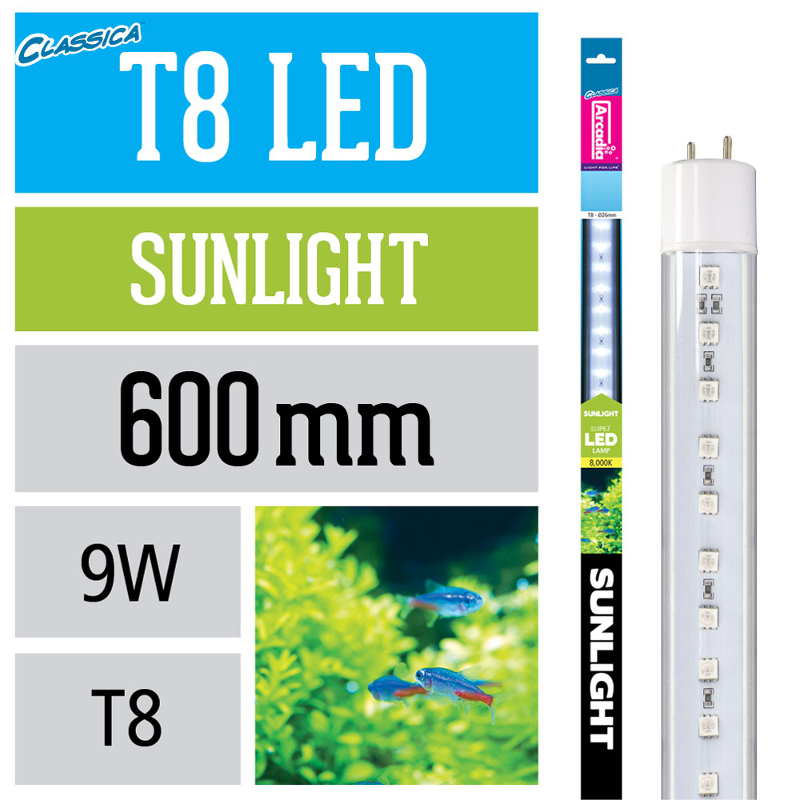 Arcadia T8 LED Lampe Sunlight 9 W 600 mm
