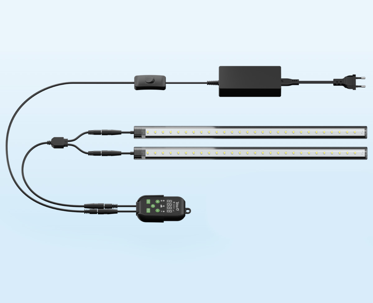 Tetra LightWave Timer Anschluss-Beispiel