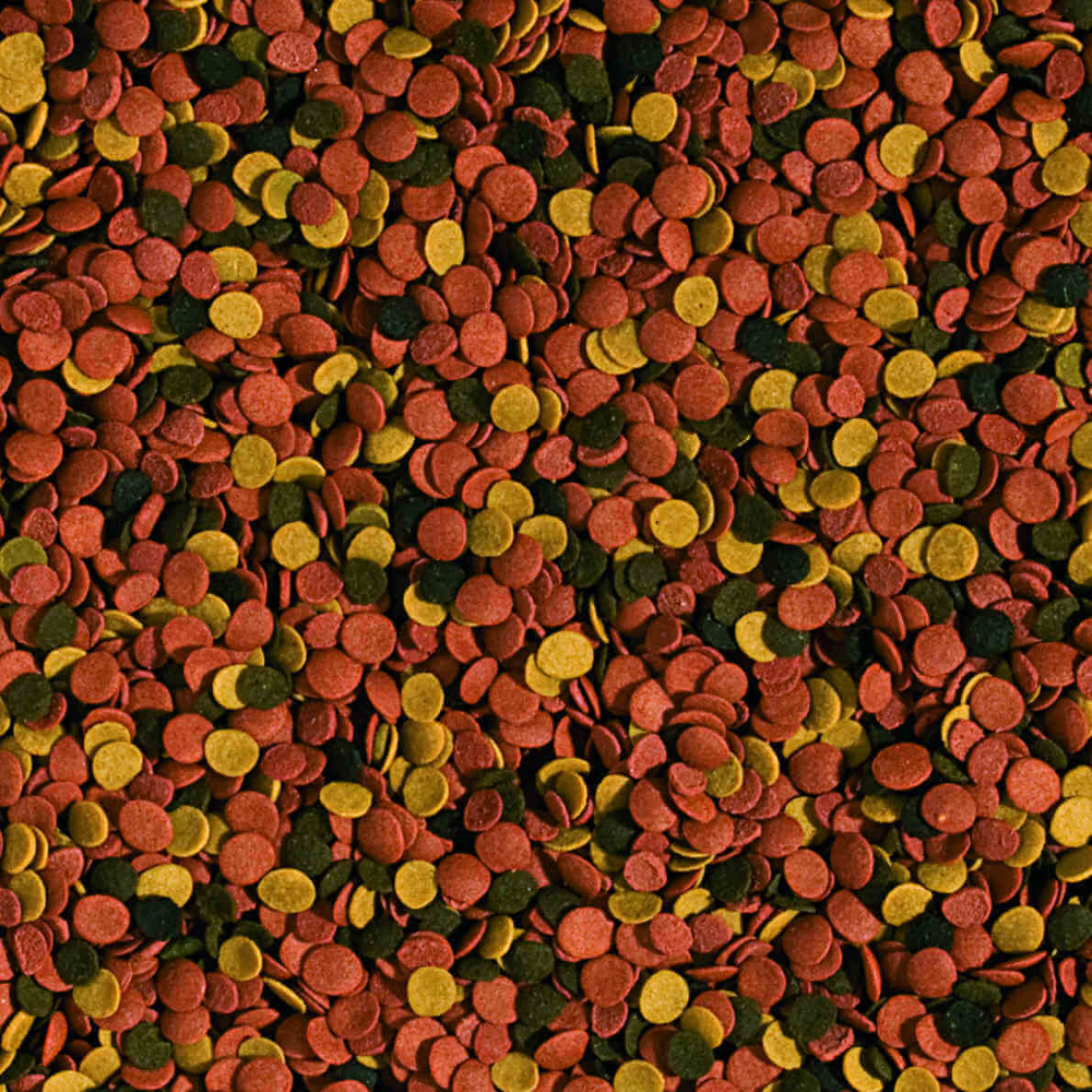 Tropical Supervit Chips im Detail