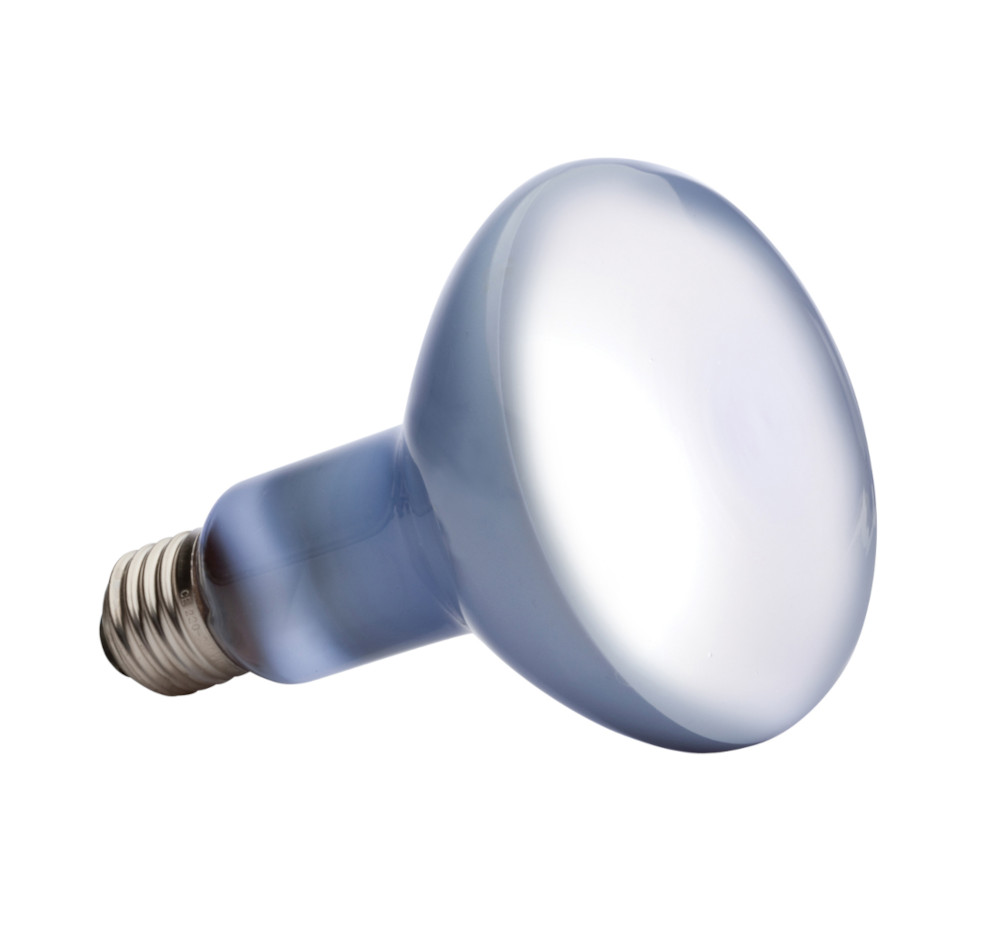 Exo Terra Daylight Basking Spot 25 W (Tageslicht-sonnenschutzlampe)