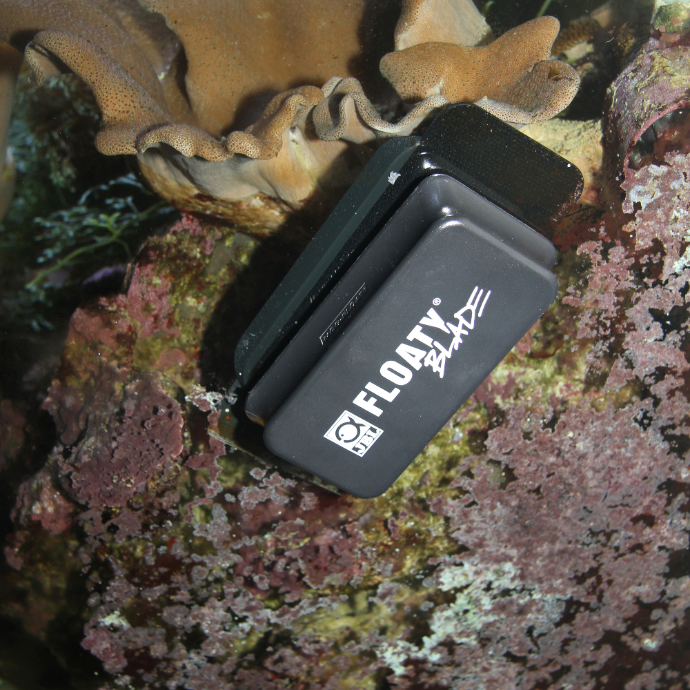 JBL Floaty Blade L Anwendung