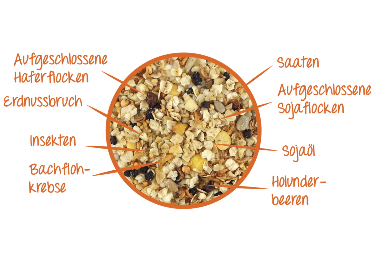 Claus Energiefutter 0,7 kg für Wildvögel Zusammensetzung