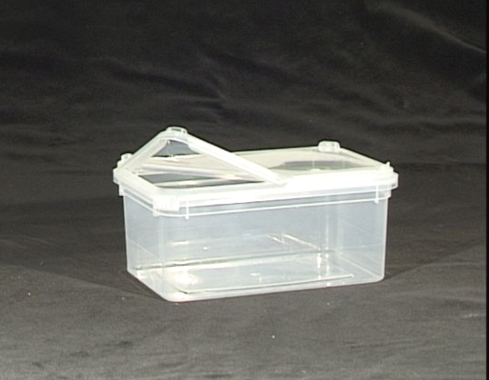 Aufzuchtbox 1,3 Liter (19x12,5x7,5 cm) -Zuchtbox-Haltebox-