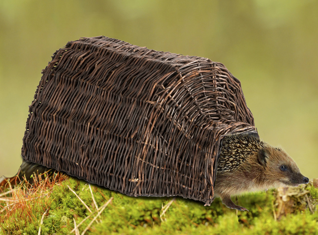 Igel-Haus im Detail mit Igel