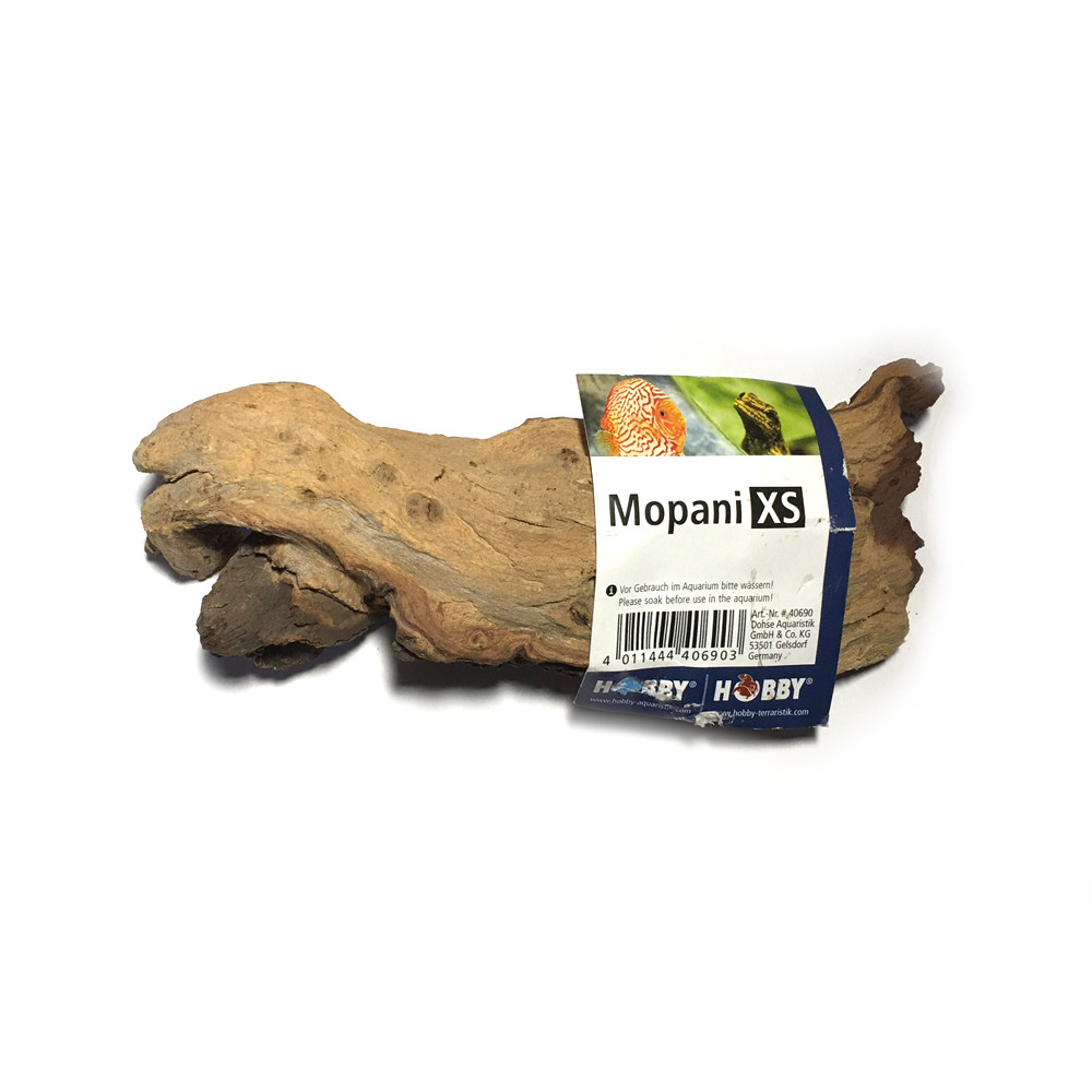 Mopani XS Wurzel 10-15 cm Rückseite