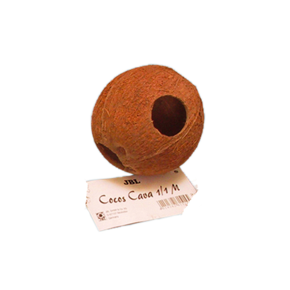 JBL Cocos Cava 1/1 L einzel
