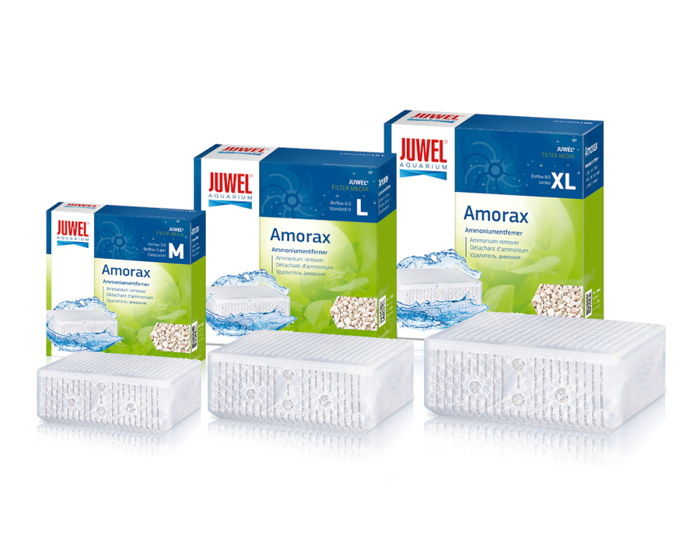 Juwel Amorax M Ammoniumentferner