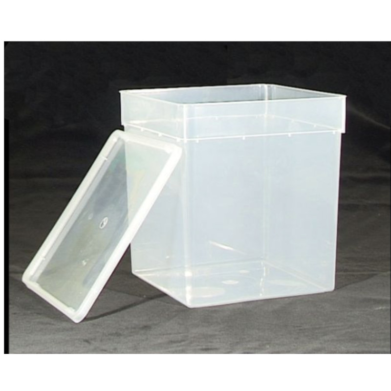 Braplast Aufzucht-Box 185x185x190 mm 5,8 Liter transparent
