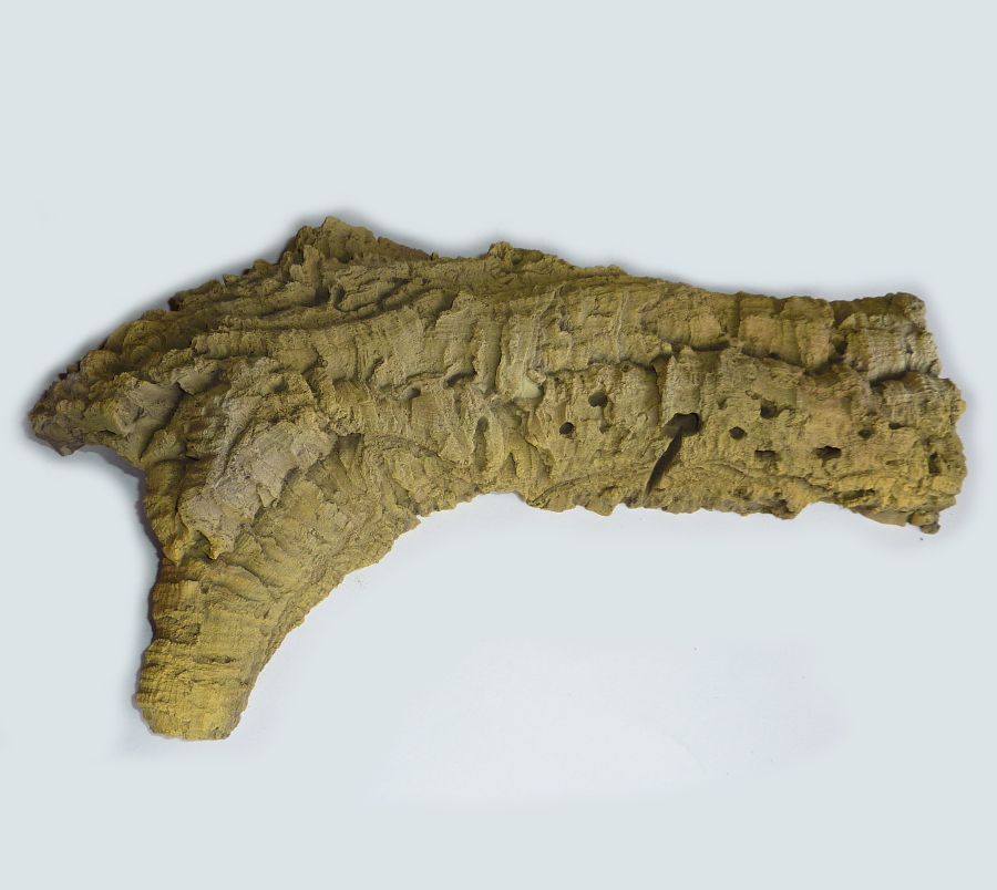 Korhöhle L 37 x 20 x 6 cm