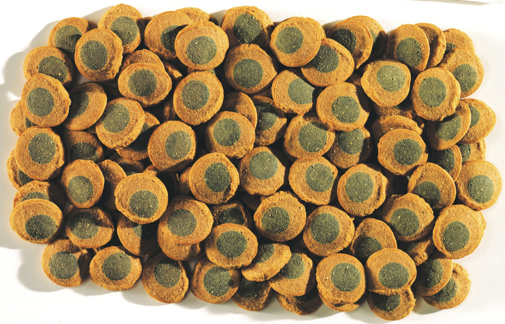 Tetra Pleco Spirulina Wafers 250 ml (Futter mit Algen)