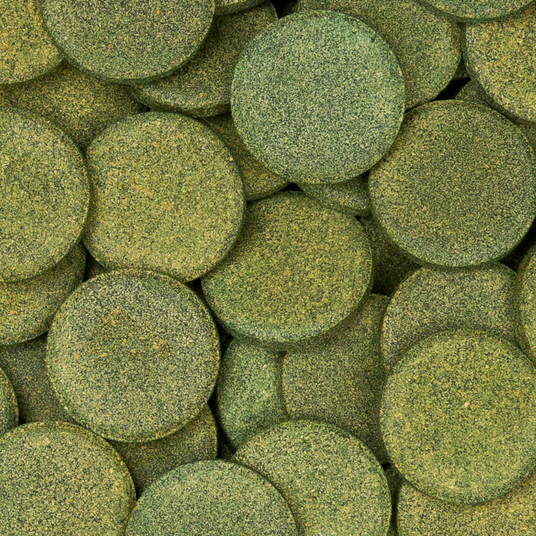 sera sera Wels-Tabs XXL Nature im Detail