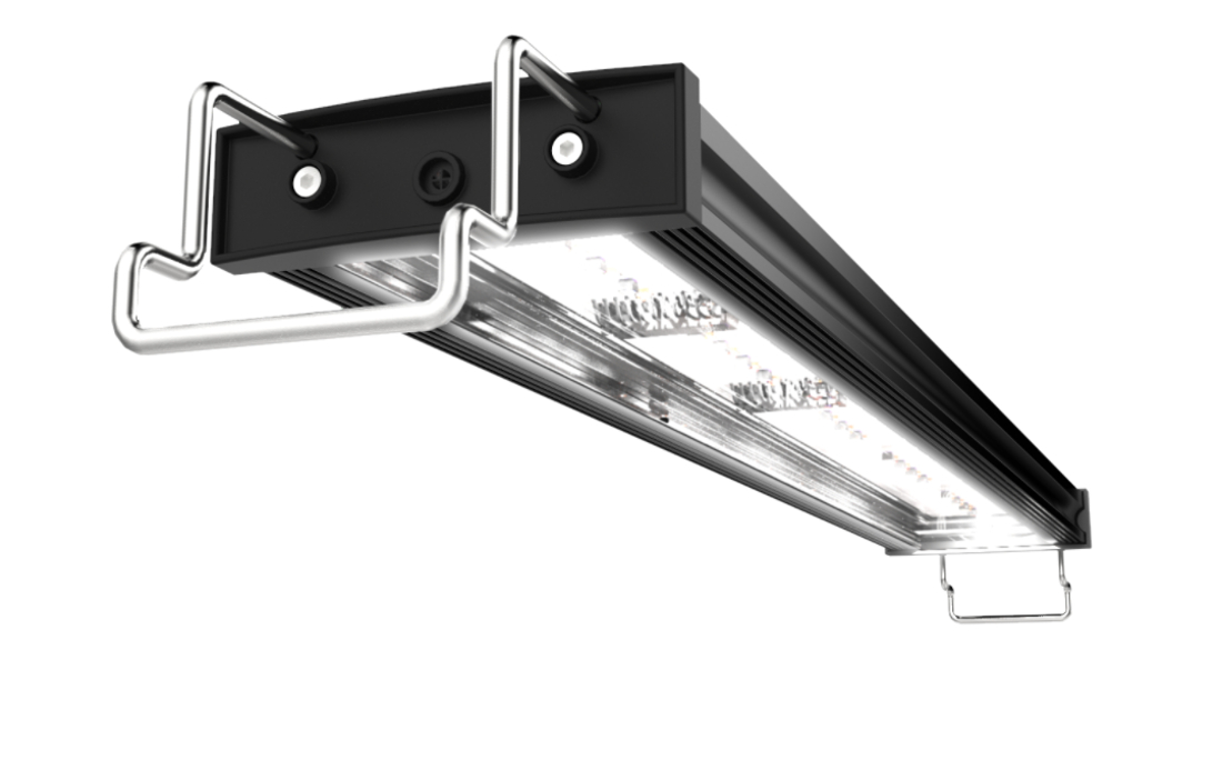 GHL Mitras Lightbar 2 Actinic von unten