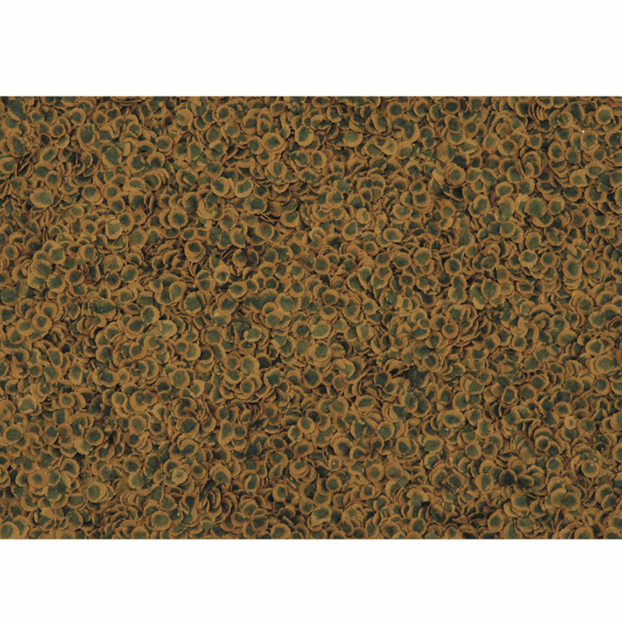 TetraPRO Algae Multi-Crisps im Detail