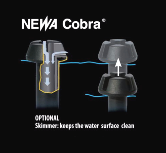 Newa Cobra CF MINI Skimmer im Detail