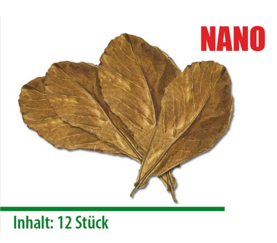 Seemandelbaumblätter Nano 12 St.
