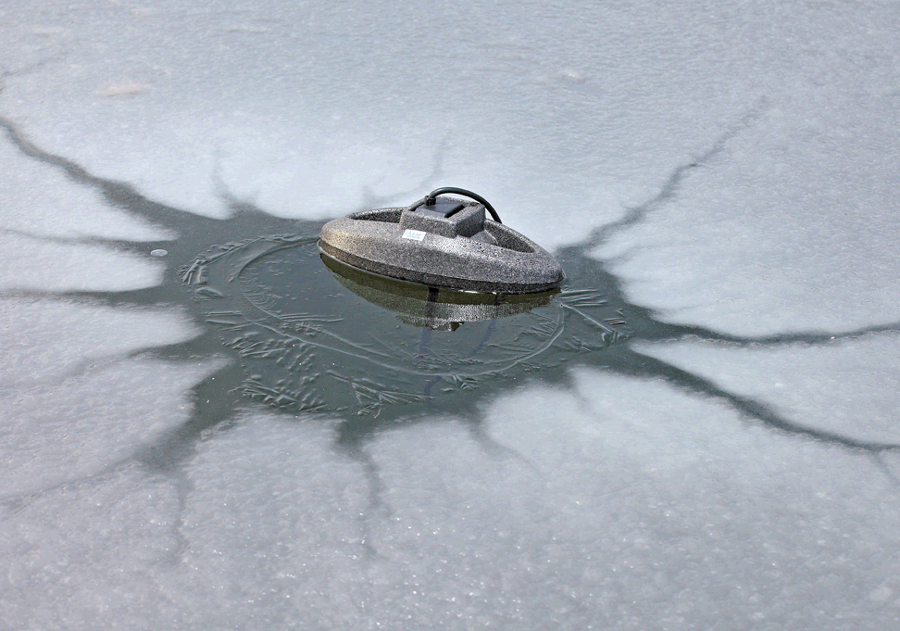 Oase IceFree Thermo 330 im Teich