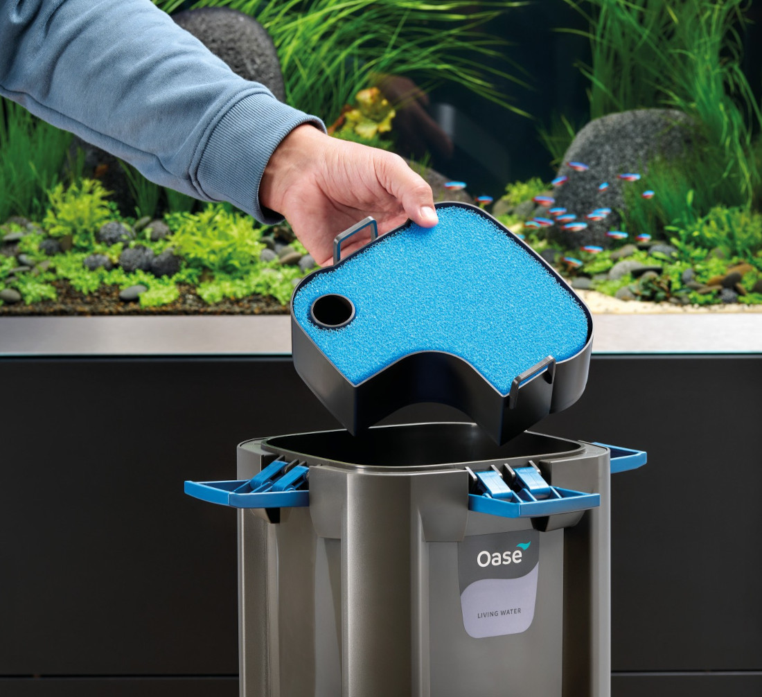 OASE BioMaster² Thermo 250 Außenfilter für Aquarien