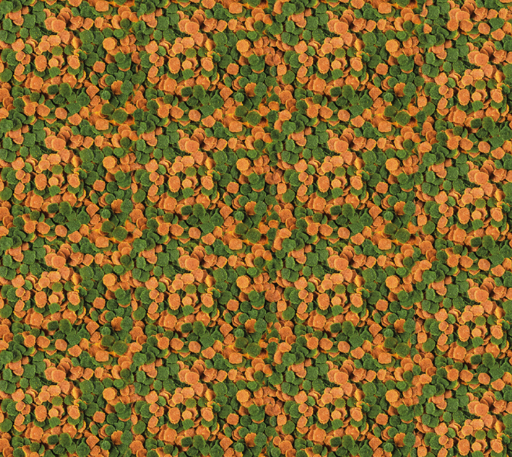 Tetra Micro Crisps im Detail