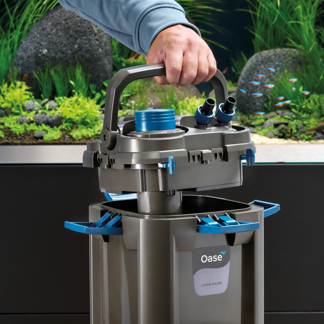 OASE BioMaster² Thermo 250 Außenfilter für Aquarien